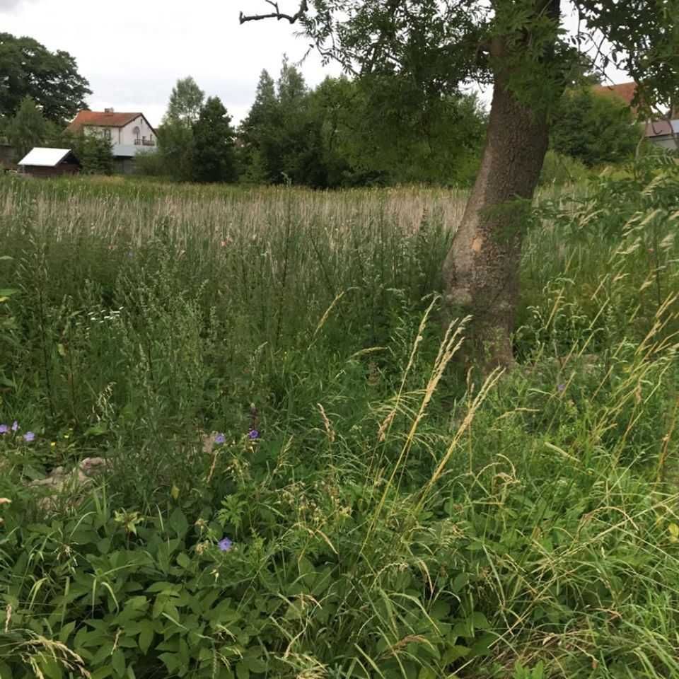 Działka budowlana Łączno. Zdjęcie 8