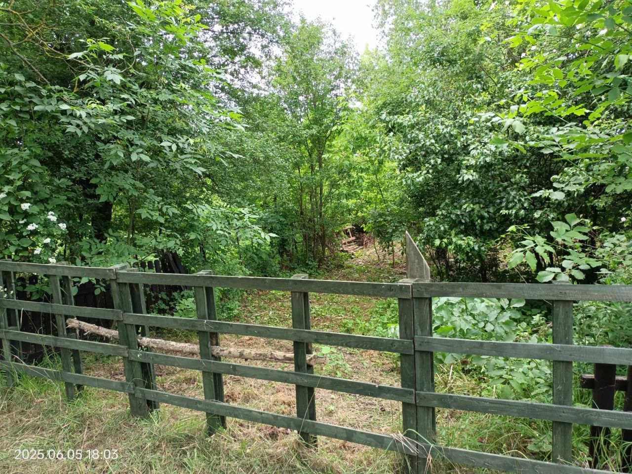 Działka rod Wrocław Śródmieście, ul. Klecińska. Zdjęcie 2