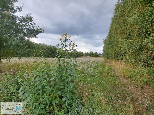 Działka siedliskowa Łagów. Zdjęcie 7