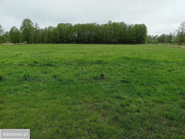 Działka rolna Popiołki. Zdjęcie 1