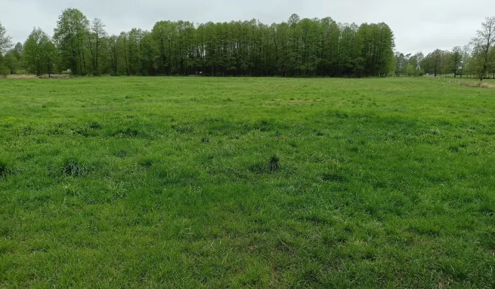 Działka rolna Popiołki