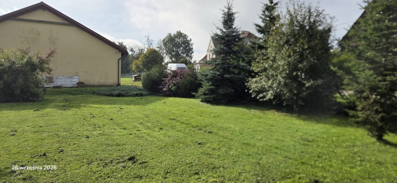 Działka siedliskowa Buczyniec. Zdjęcie 7