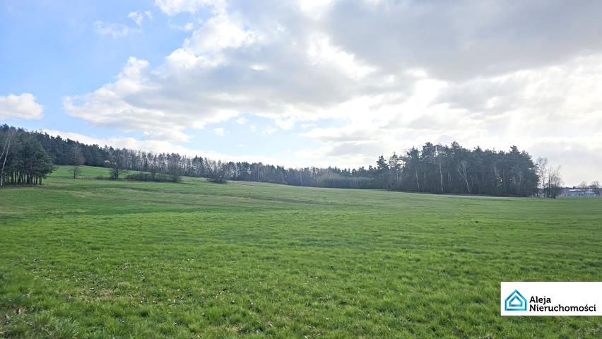 dom wolnostojący, 3 pokoje Rębielice Królewskie, ul. Nadrzeczna. Zdjęcie 13