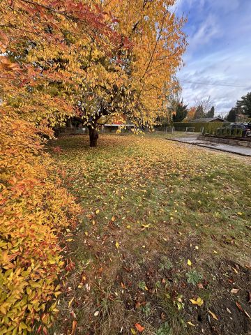 Działka rod Malanowo. Zdjęcie 1