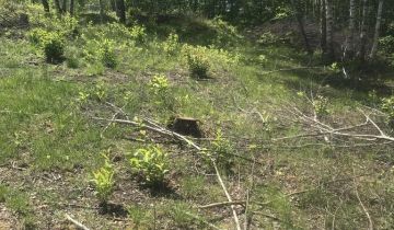 Działka budowlana Gniewomirowice