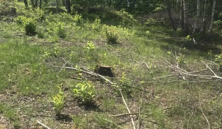 Działka budowlana Gniewomirowice