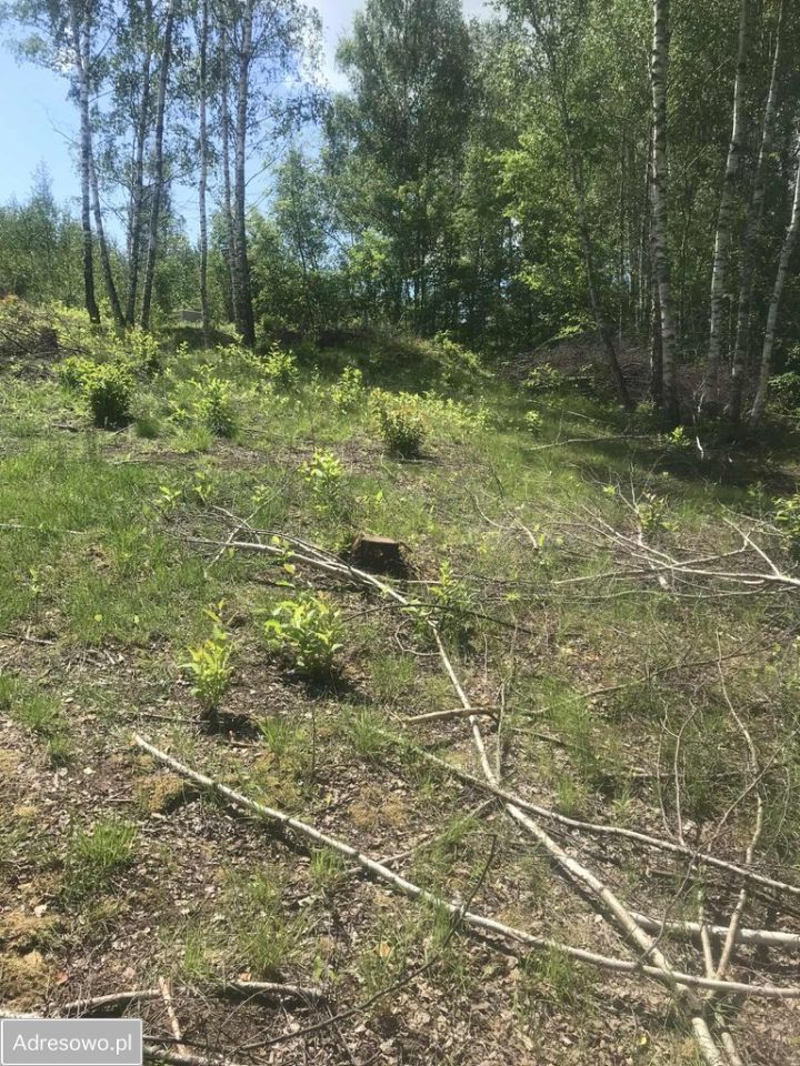 Działka budowlana Gniewomirowice