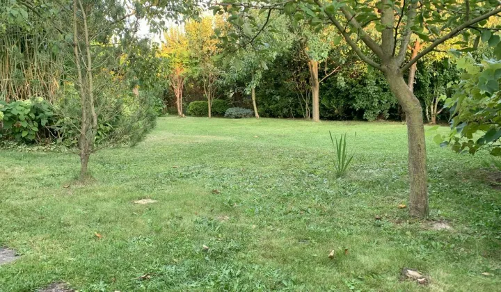 Działka rod Racibórz, ul. Opawska