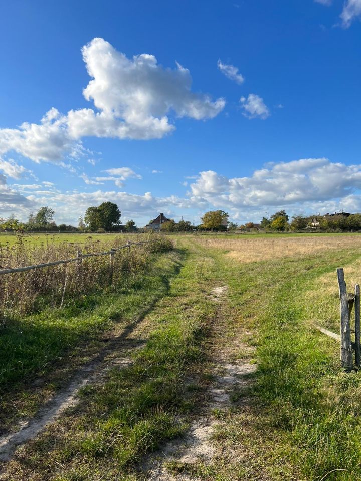 Działka budowlana Górzna. Zdjęcie 7