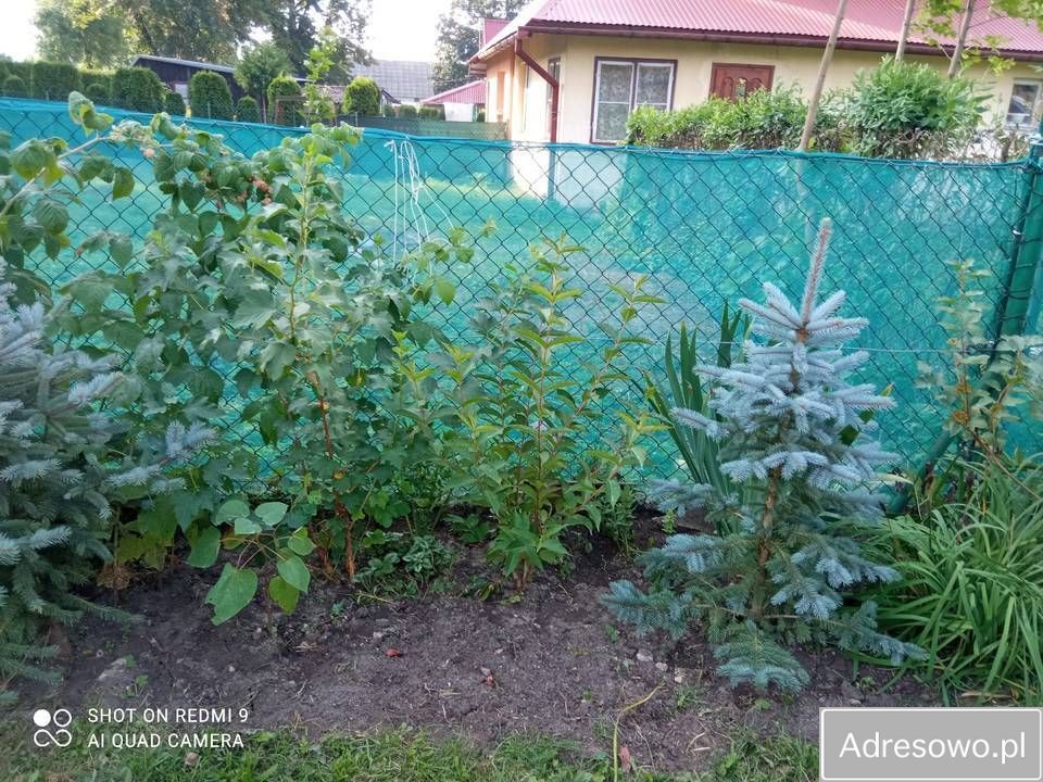 bliźniak, 3 pokoje Łówcza. Zdjęcie 2