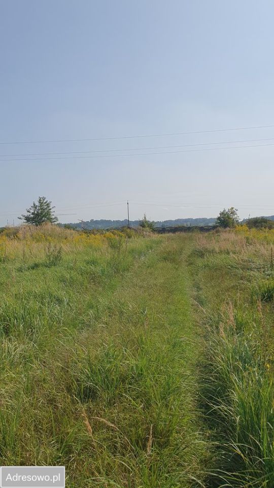 Działka inwestycyjna Raciborowice, ul. Kanonicza. Zdjęcie 3