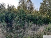 Działka rekreacyjna Andrzejówka. Zdjęcie 3