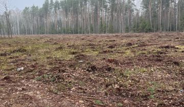 Działka leśna Czerwińskie