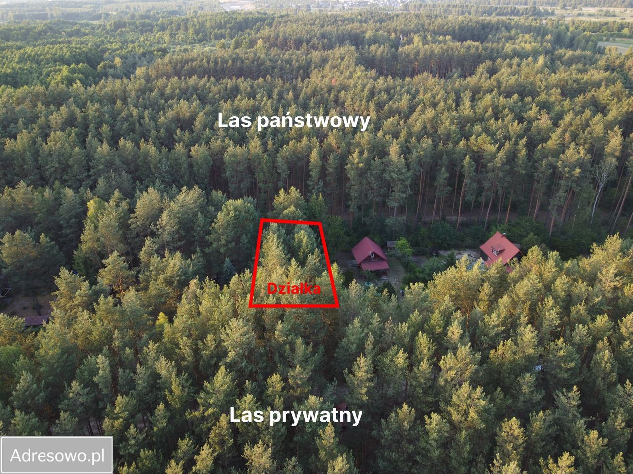 Działka rekreacyjna Borków. Zdjęcie 19