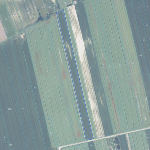 Działka rolna Wierzbica. Zdjęcie 1