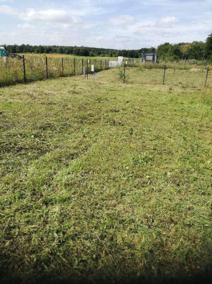 Działka rod Wierzchowo. Zdjęcie 4