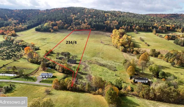 Działka siedliskowa Leszczawa Górna