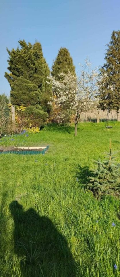 Mieszkanie 4-pokojowe Szprotawa. Zdjęcie 5