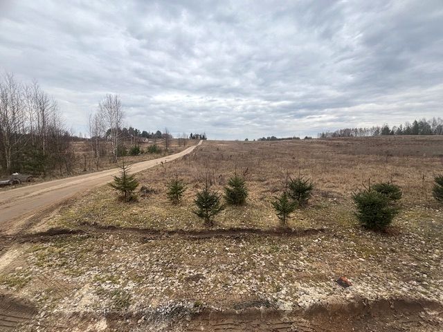 Działka rolna Czarna Wieś Kościelna, ul. Zacisze. Zdjęcie 3