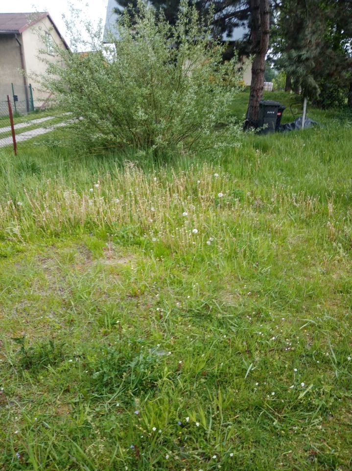 Działka budowlana Żory Rój. Zdjęcie 5