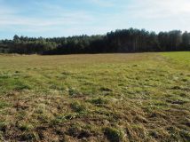 Działka rolna Głupianka. Zdjęcie 3