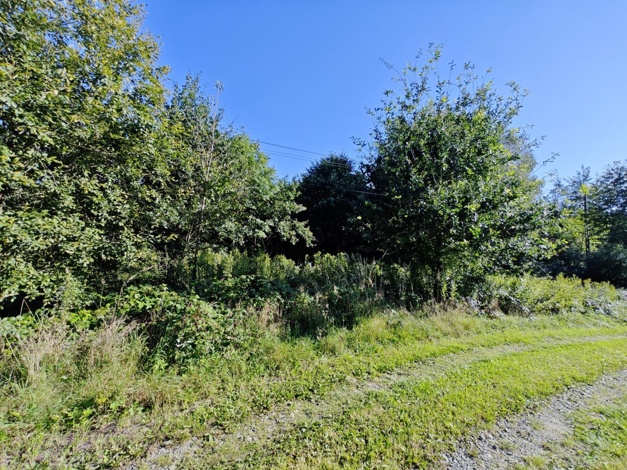 Działka rolno-budowlana Święcany. Zdjęcie 9