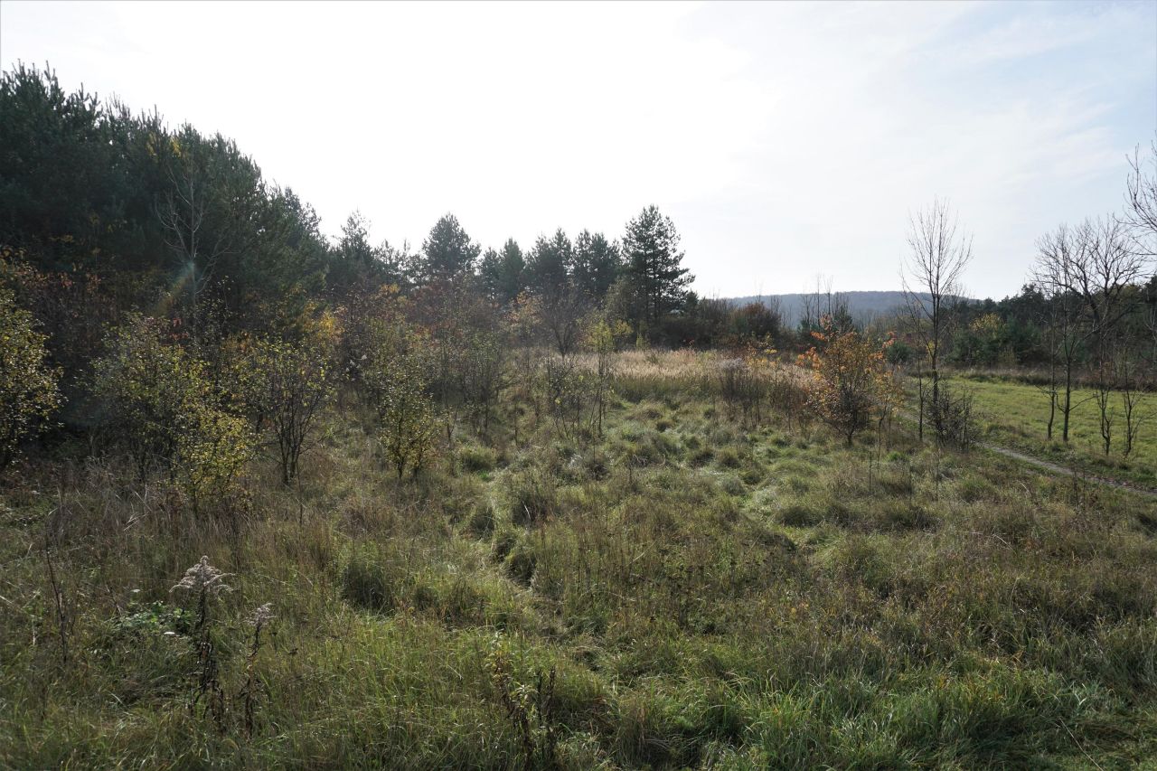 Działka inna Niesułowice Kasprzyki, ul. Żurawia. Zdjęcie 8