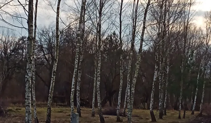 Działka rolno-budowlana Prościeniec