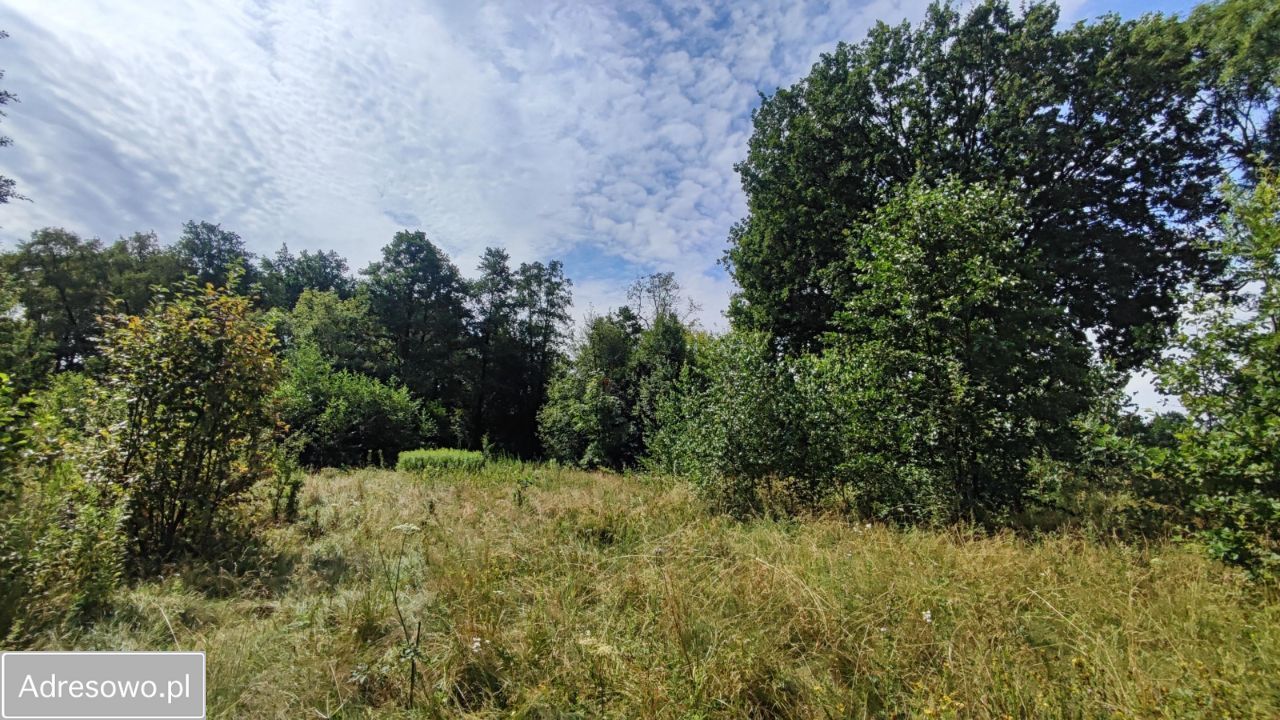 Działka rolna Secymin Polski. Zdjęcie 17