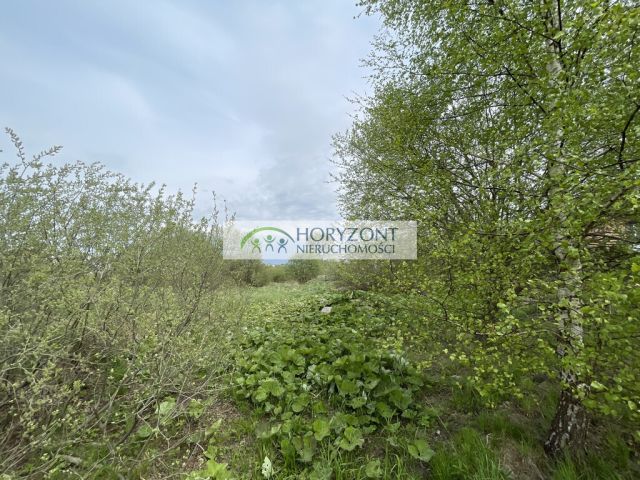 Działka rekreacyjna Żukowo. Zdjęcie 10