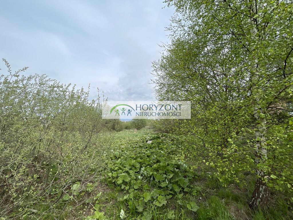 Działka rekreacyjna Żukowo. Zdjęcie 10