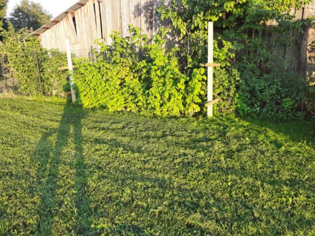 Działka rolno-budowlana Tyśmienica. Zdjęcie 8