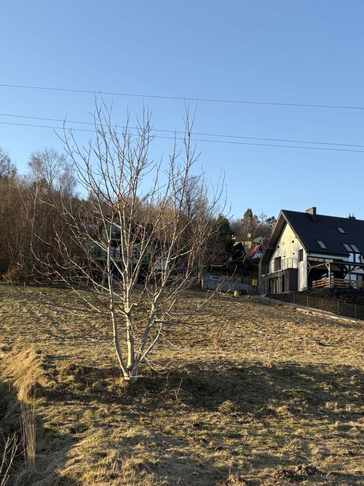 Działka budowlana Międzybrodzie Bialskie. Zdjęcie 3