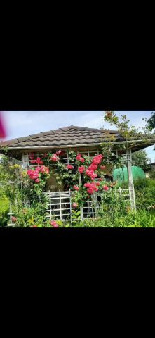 Działka rod Siemianice. Zdjęcie 1