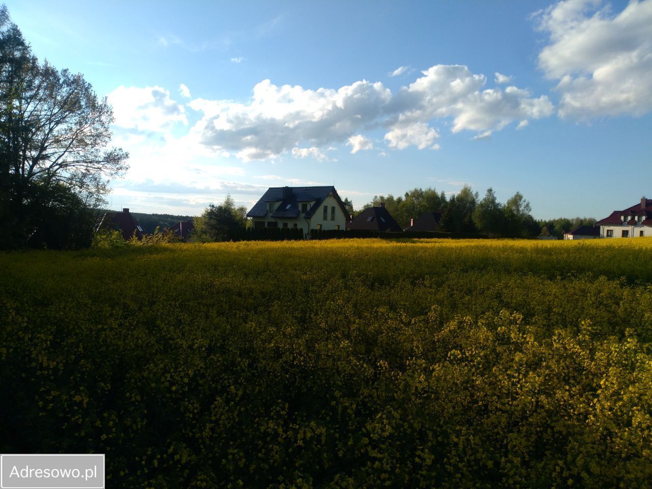Działka rolno-budowlana Żmijewko. Zdjęcie 9
