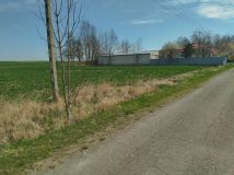 Działka rolno-budowlana Białowola Borek Białowolski. Zdjęcie 2