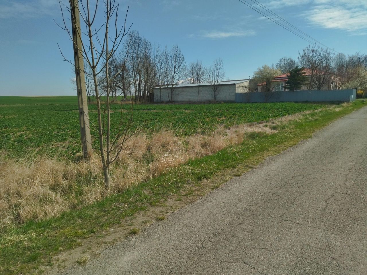 Działka rolno-budowlana Białowola Borek Białowolski. Zdjęcie 3