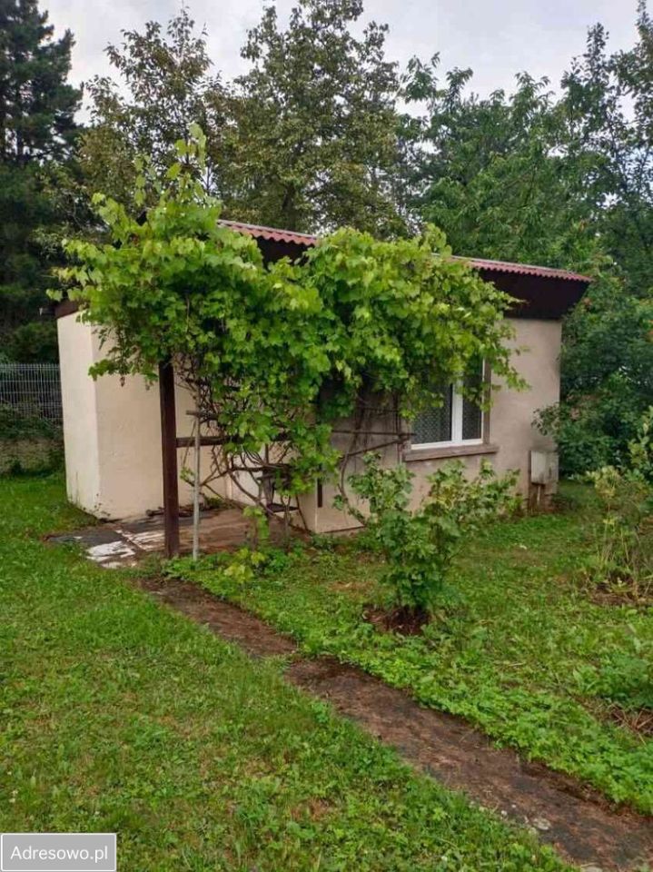 Działka rod Mikołów, ul. Skośna