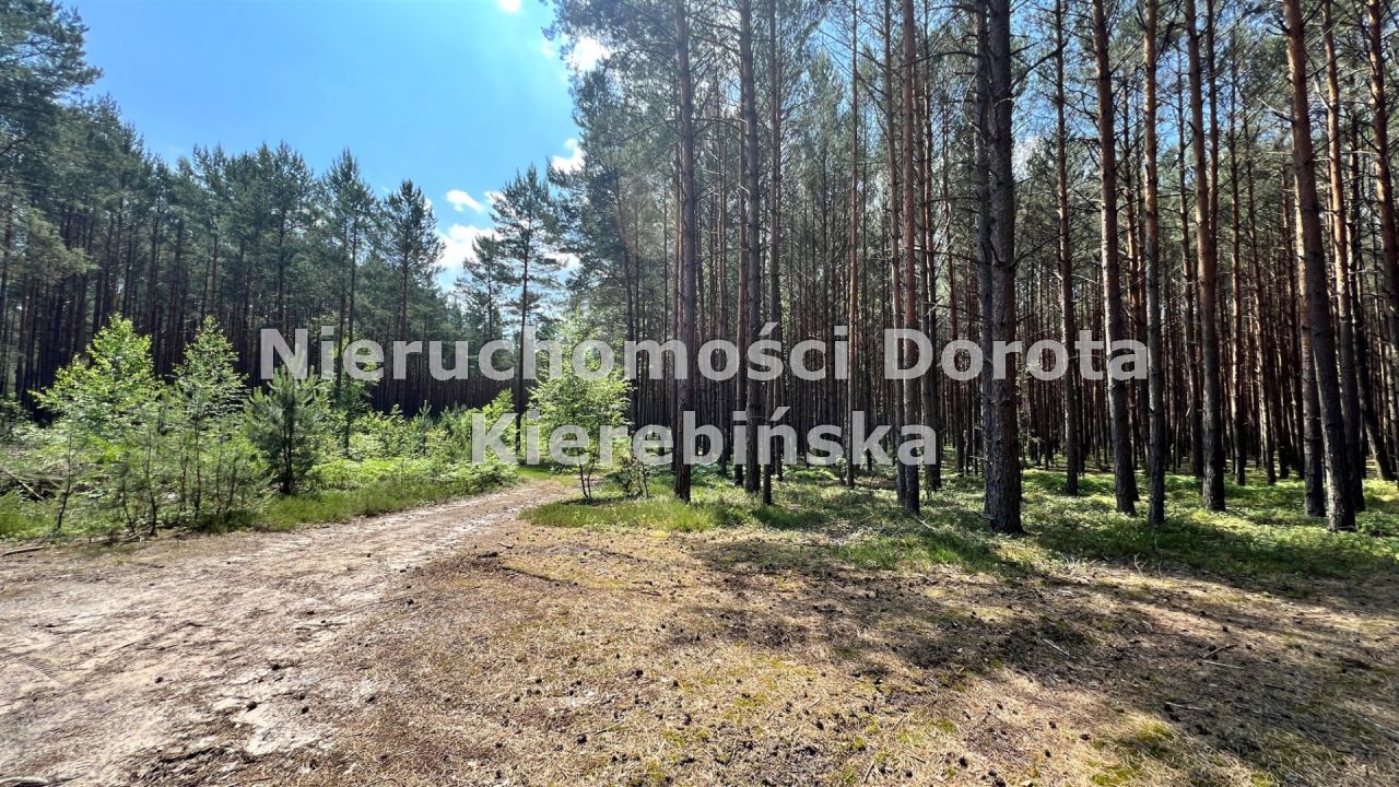 Działka rekreacyjna Inowłódz. Zdjęcie 17