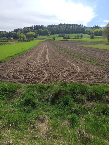 Działka rolno-budowlana Huta Szumy. Zdjęcie 1