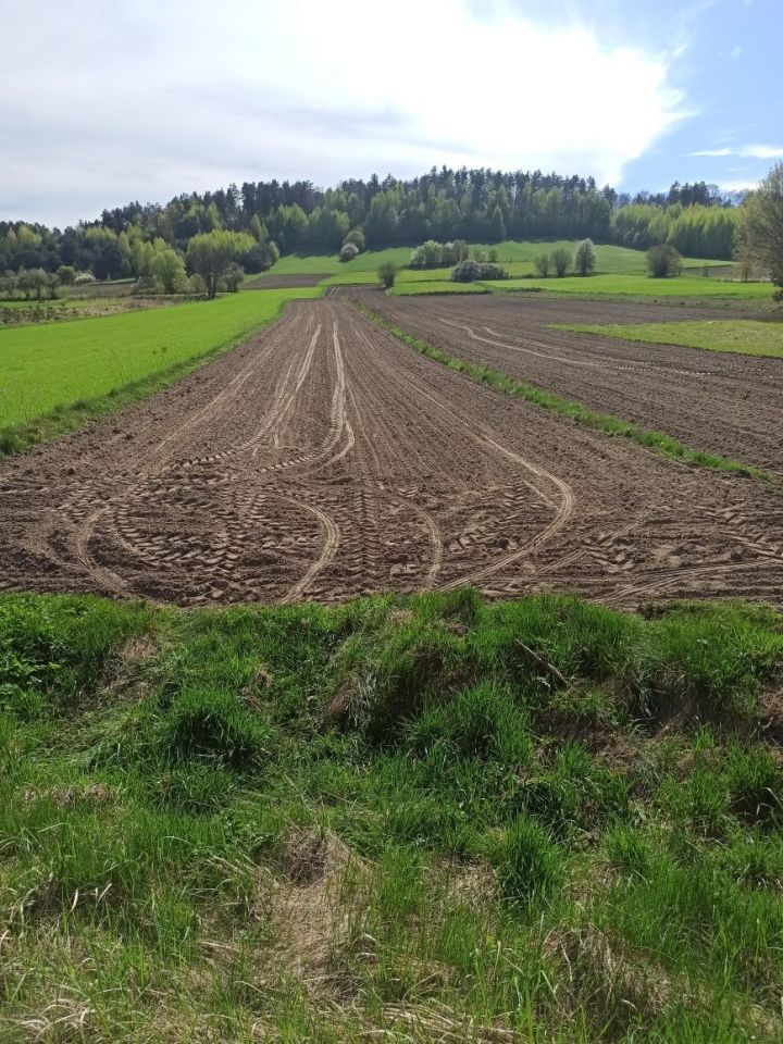 Działka rolno-budowlana Huta Szumy