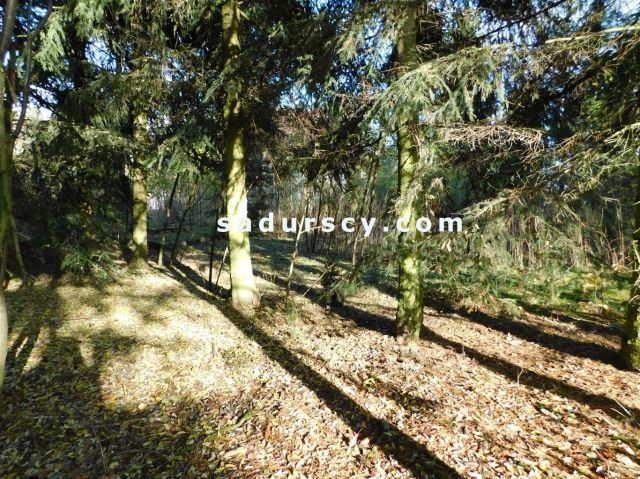 Działka budowlana Biały Ług. Zdjęcie 3