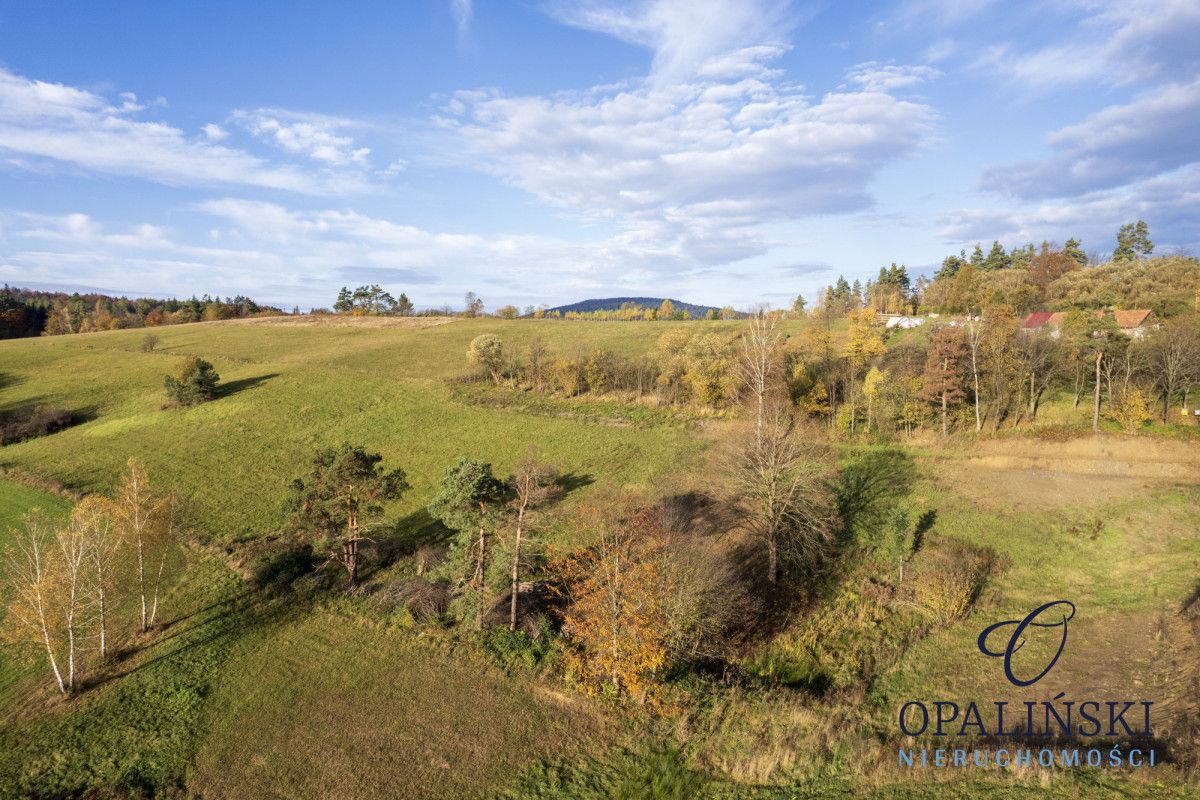 Działka inwestycyjna Kiełczawa. Zdjęcie 10