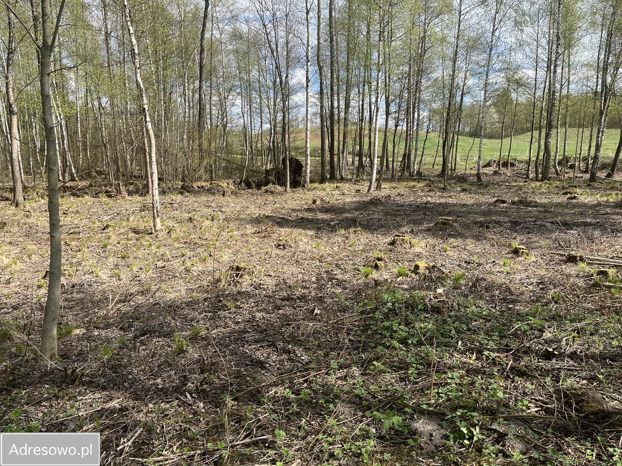 Działka Grzegrzółki. Zdjęcie 3