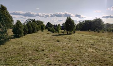 Działka rolno-budowlana Strachówka, ul. Nowa