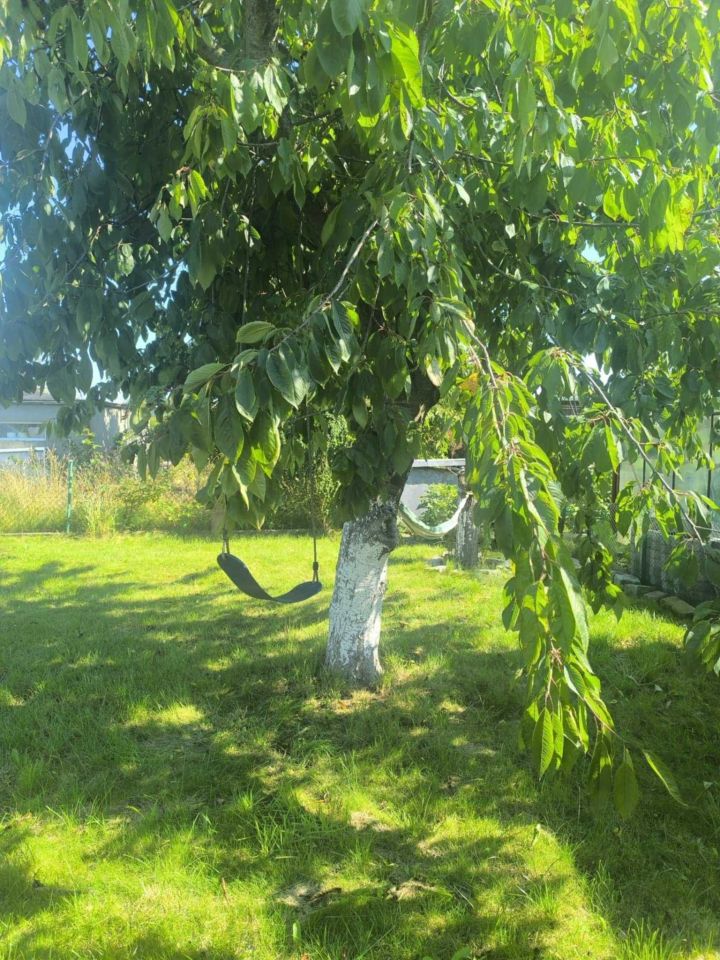 Działka rod Gdynia Obłuże, ul. Mikołaja Reja. Zdjęcie 8