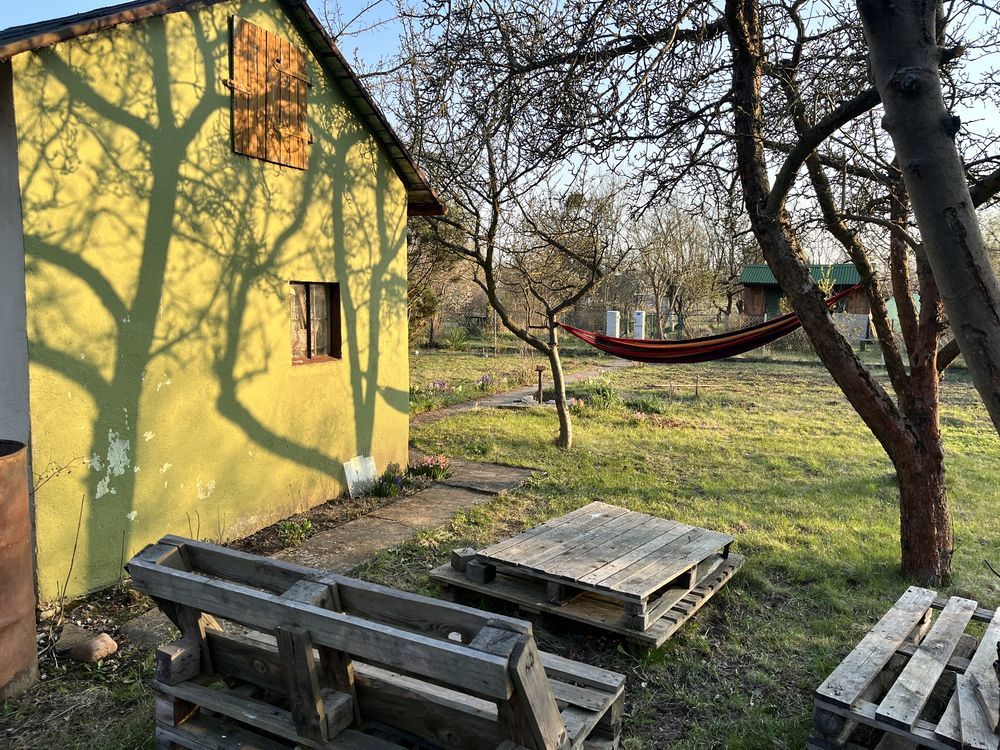 Działka rod Wrocław Psie Pole. Zdjęcie 7