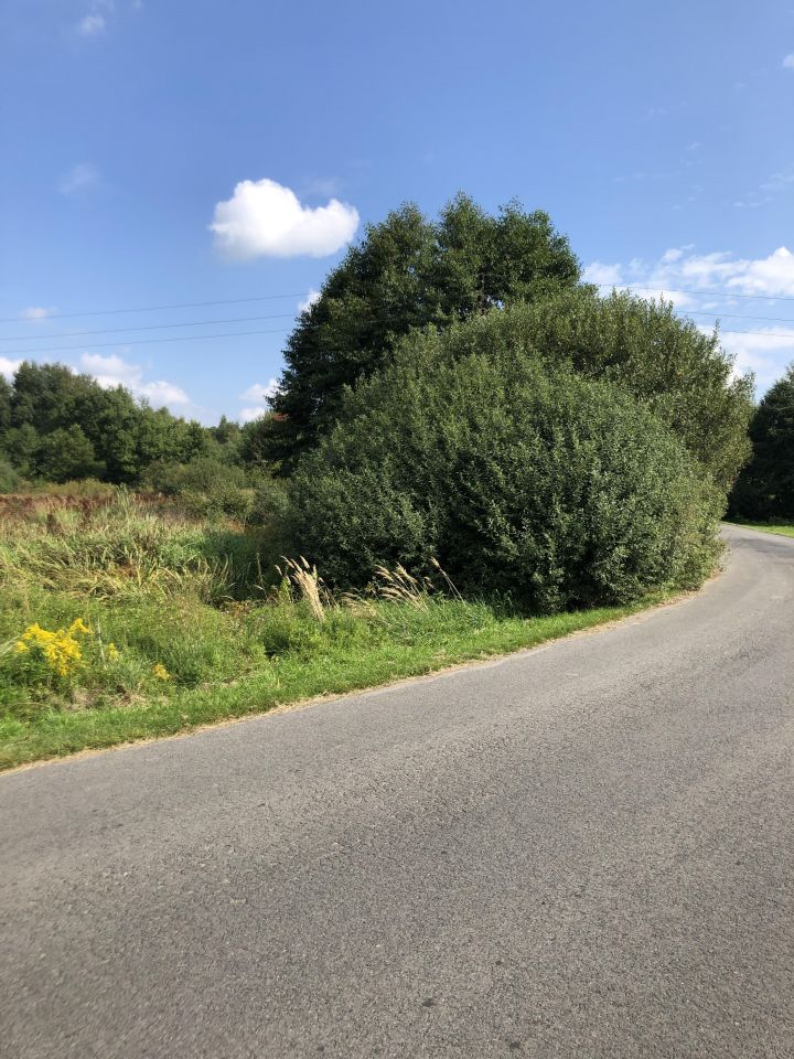 Działka budowlana Kuźnica Wąsowska, ul. Rzeczna. Zdjęcie 8