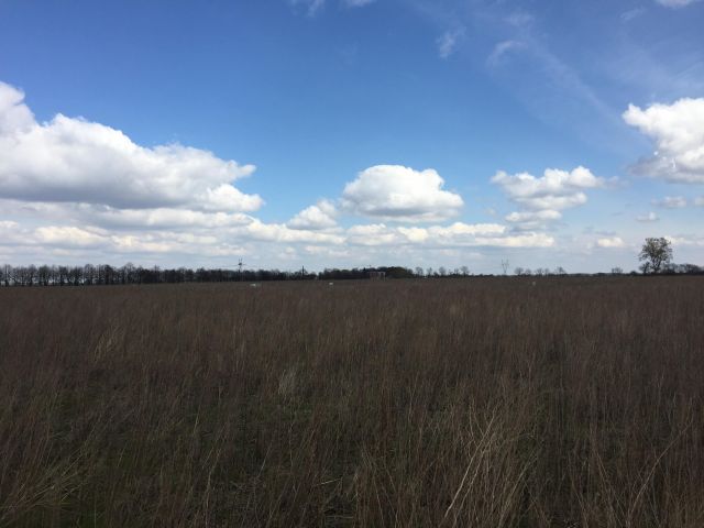 Działka budowlana Gwiazdowo. Zdjęcie 1