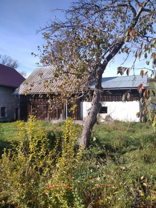 dom wolnostojący Pilchowice. Zdjęcie 4